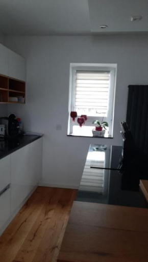 Modern Apartment TLA TDY